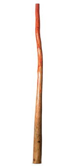 Tristan O'Meara Didgeridoo (TM416)
